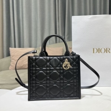 Christian Dior Shopping Bags